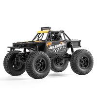 FMS 1:24 FCX24 Lemur RTR Orange